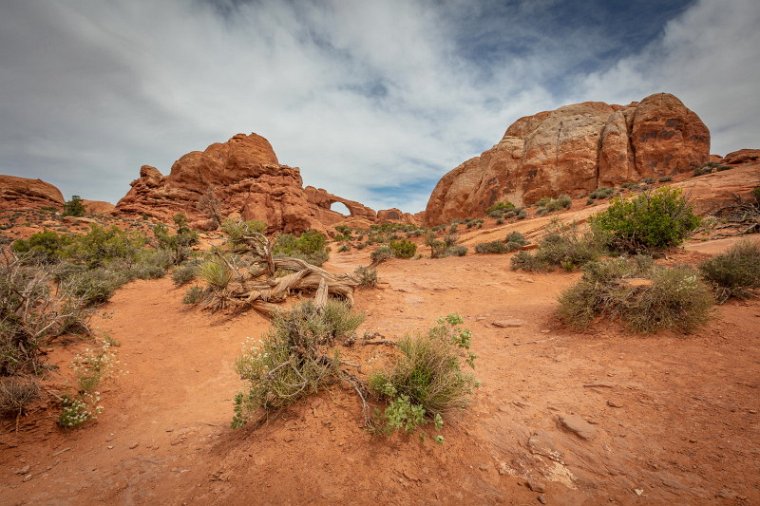 134 Arches NP, Skyline Arch.jpg